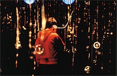 Cover image for Witness