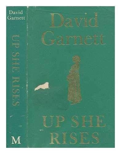 Cover image for Up she rises