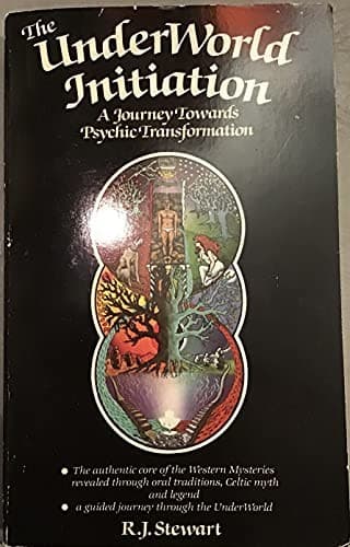 Cover image for The underworld initiation