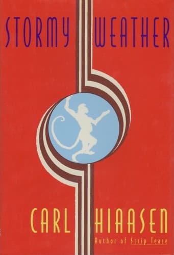 Cover image for Stormy weather