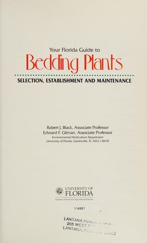 Cover image for Your Florida guide to bedding plants