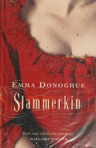 Cover image for Slammerkin