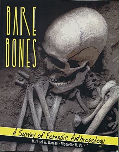 Cover image for Bare bones