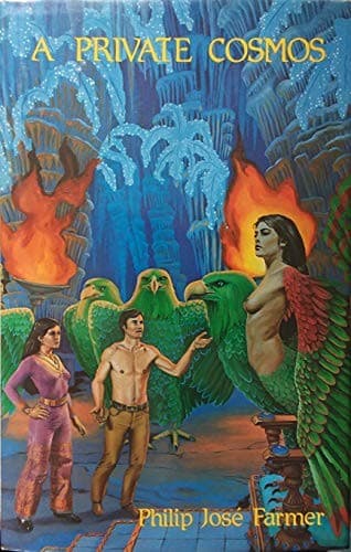 Cover image for A private cosmos