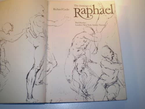 Cover image for The complete paintings of Raphael