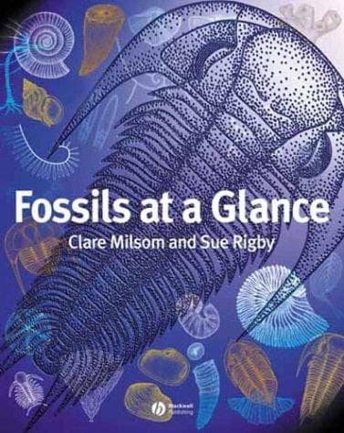 Cover image for Fossils at a Glance (At a Glance)