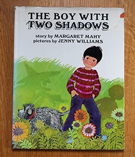 Cover image for The boy with two shadows