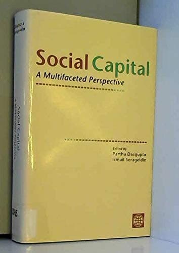 Cover image for Social capital