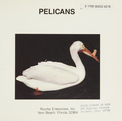 Cover image for Pelicans.