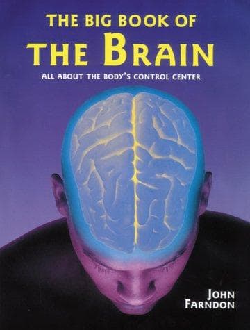 Cover image for Big Book of the Brain