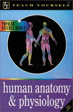 Cover image for Teach Yourself Human Anatomy & Physiology