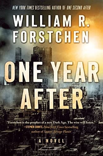 Cover image for One year after