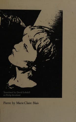 Cover image for Pierre