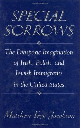 Cover image for Special sorrows