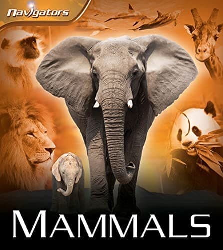 Cover image for Mammals