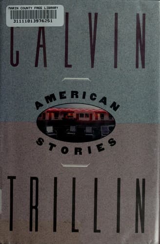 Cover image for American stories