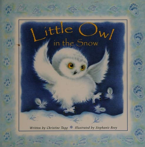 Cover image for Little owl in the snow