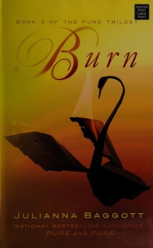 Cover image for Burn