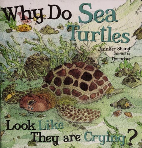 Cover image for Why do sea turtles look like they are crying?