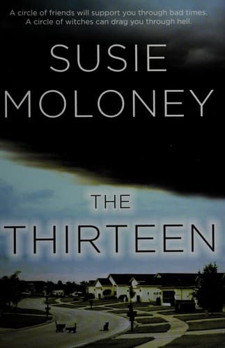 Cover image for The thirteen