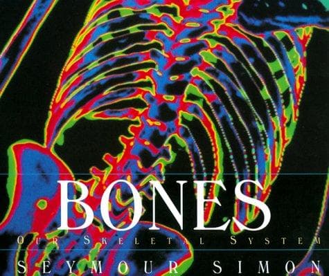 Cover image for Bones