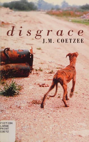 Cover image for Disgrace
