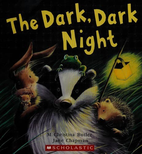 Cover image for The dark, dark night