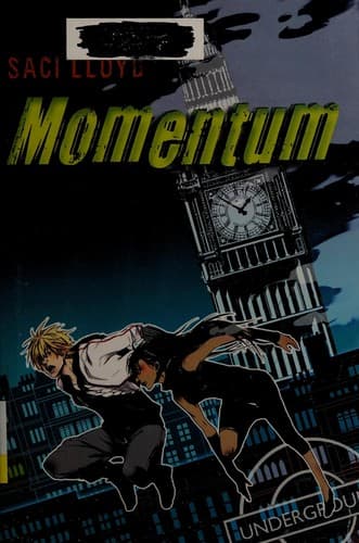 Cover image for Momentum