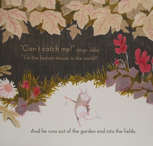 Cover image for Can't catch me!