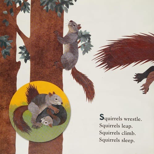 Cover image for Squirrels Leap, Squirrels sleep