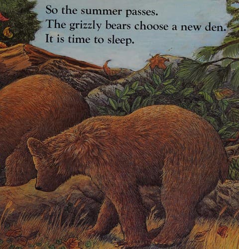 Cover image for Grizzly bear