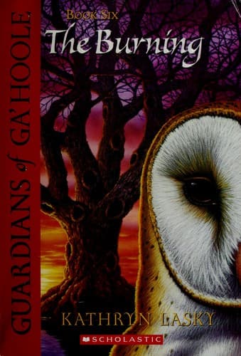 Cover image for The burning