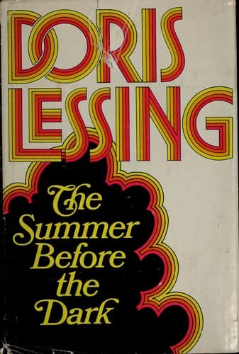 Cover image for The summer before the dark