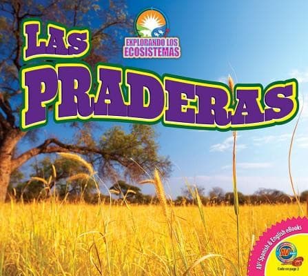 Cover image for Las Praderas (Grasslands) (Explorando Los Ecosistemas (Exploring Ecosystems)) (Spanish Edition)
