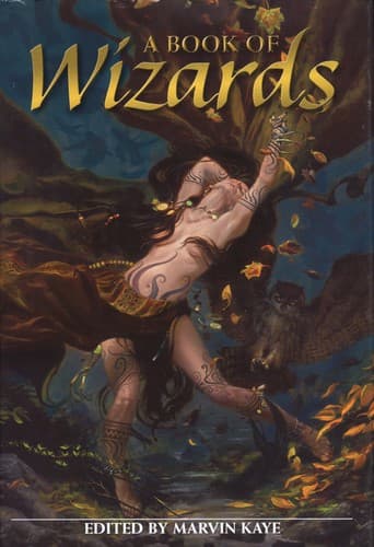 Cover image for A Book of Wizards