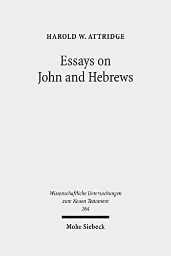 Cover image for Essays on John and Hebrews