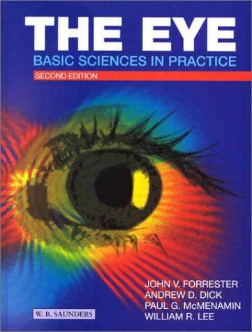 Cover image for The Eye