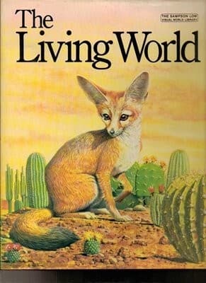 Cover image for Granada