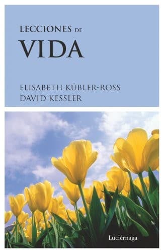 Cover image for Lecciones de vida