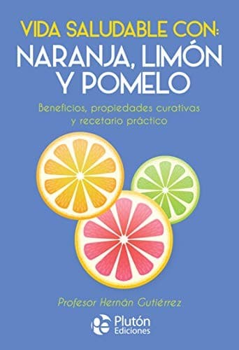 Cover image for Vida Saludable con