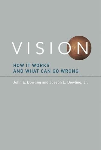 Cover image for Vision