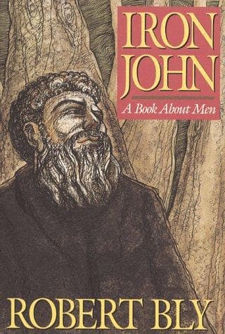 Cover image for Iron John
