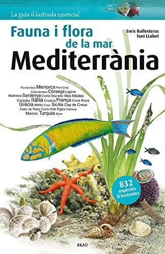 Cover image for Fauna i flora de la mar Mediterrània