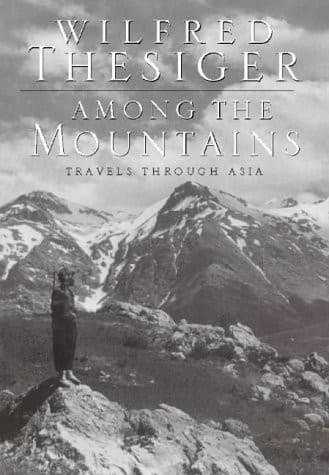 Cover image for Among the mountains