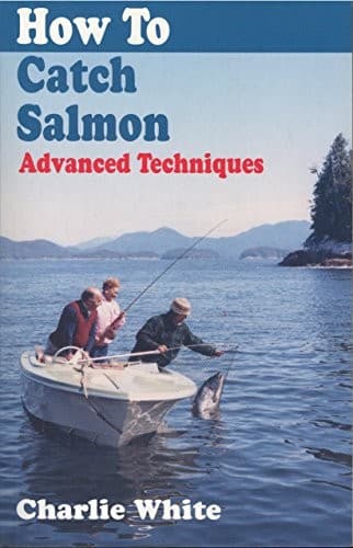 Cover image for How to Catch Salmon