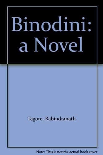Cover image for Binodini