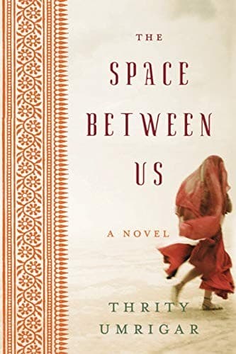 Cover image for The space between us