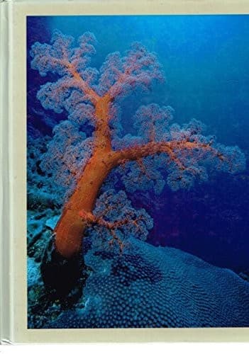 Cover image for Biology