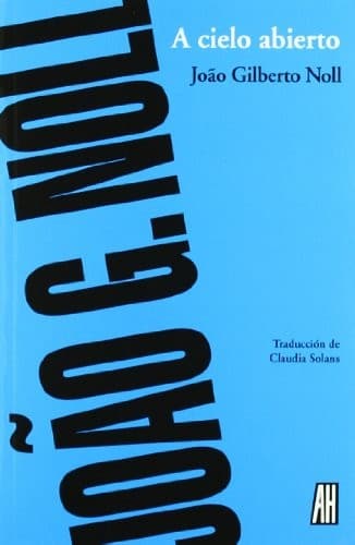 Cover image for A cielo abierto