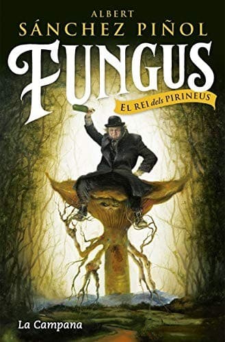 Cover image for Fungus